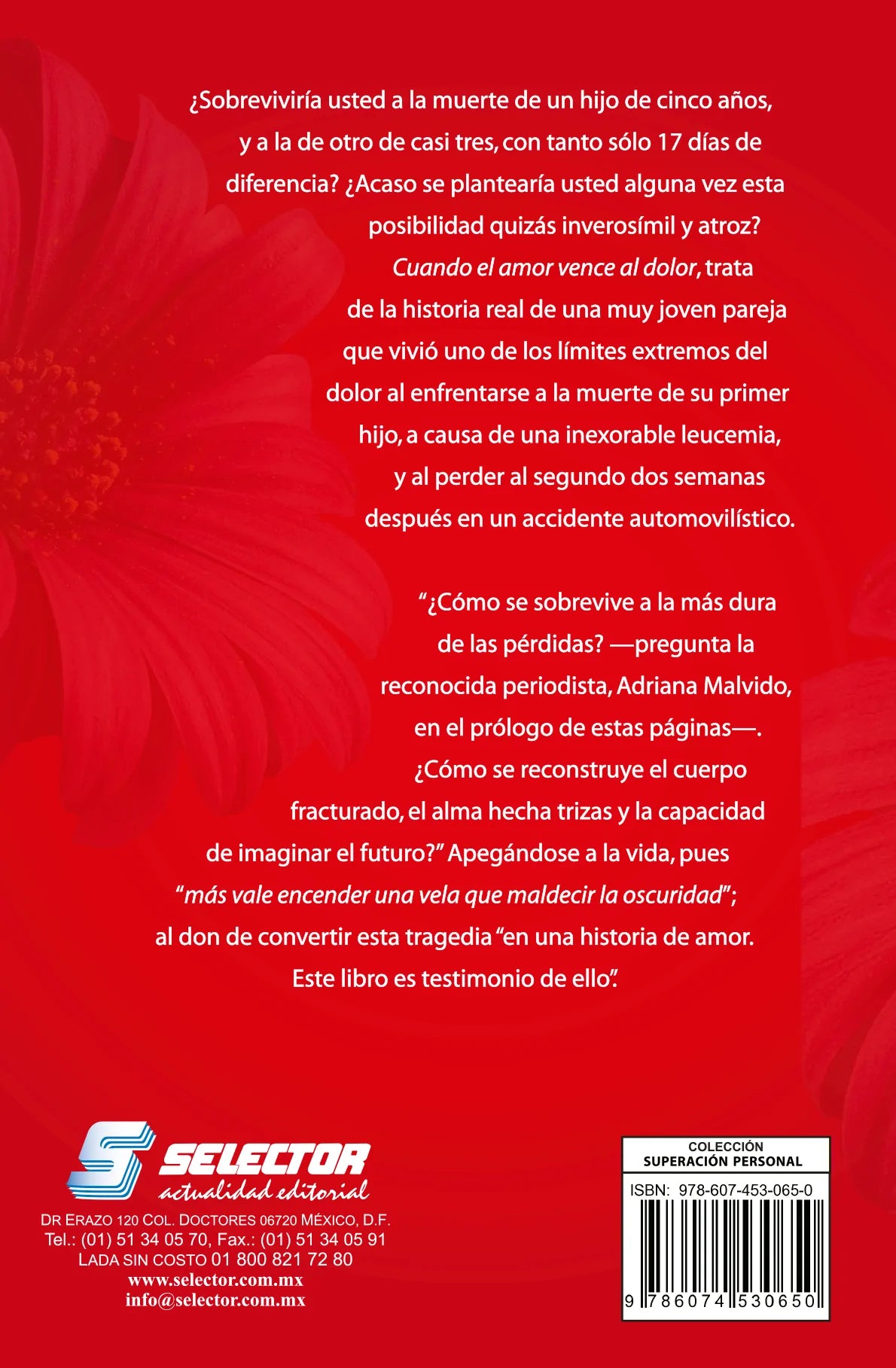 Cuando el amor vence al dolor - Editorial Selector